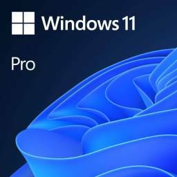 CSP WINDOWS 11 PROFESSIONAL GGWA LEGALIZATION GetGenuine DG7GMGF0L4TL