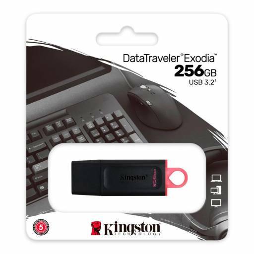 USB MEMORY DRIVE  256GB  USB3.2 KINGSTON (DTX/256GB)
